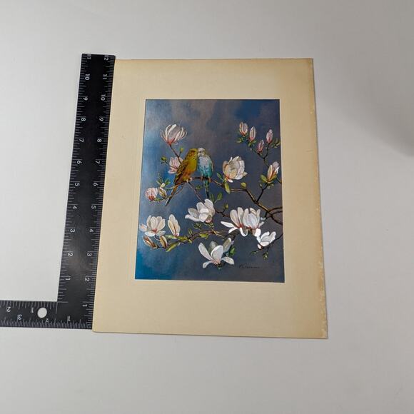 Foil Art Bird Lot Two (2) Signed F. Osborne Vintage B Parakeet Magnolias Floral2 - Picture 11 of 16
